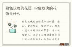 粉色玫瑰的花语粉色玫瑰的花语是什么