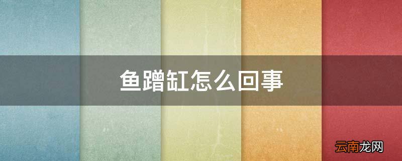 鱼蹭缸怎么回事