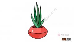 芦荟简笔画
