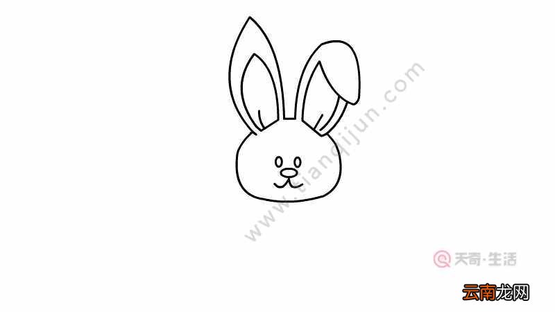 小兔简笔画