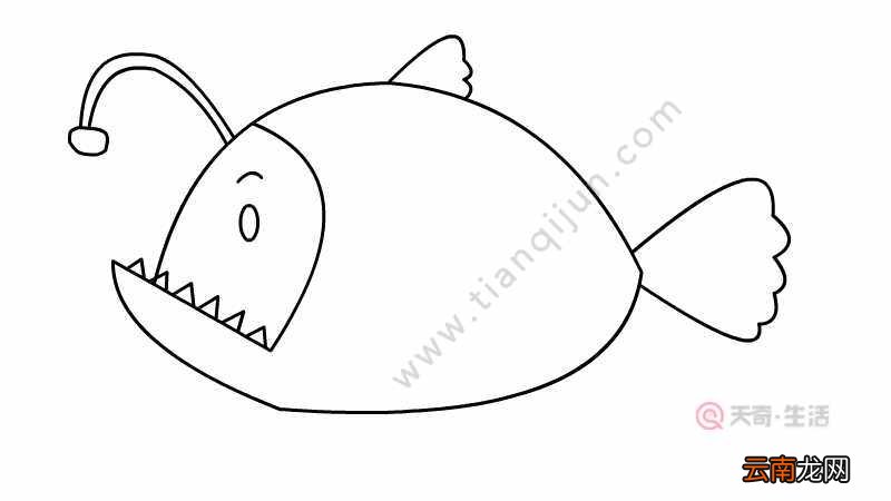 灯笼鱼简笔画怎么画 灯笼鱼简笔画的画法