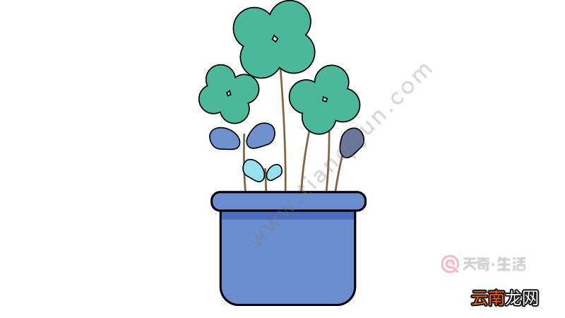 植物简笔画