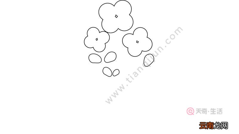 植物简笔画