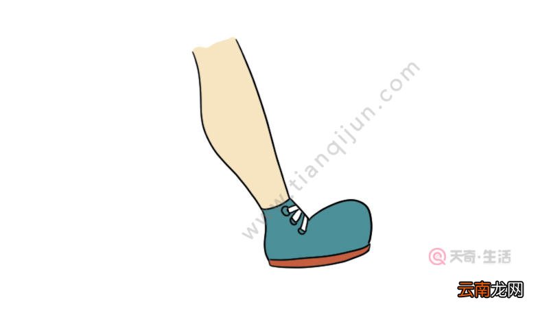 腿简笔画怎么画 腿简笔画如何画