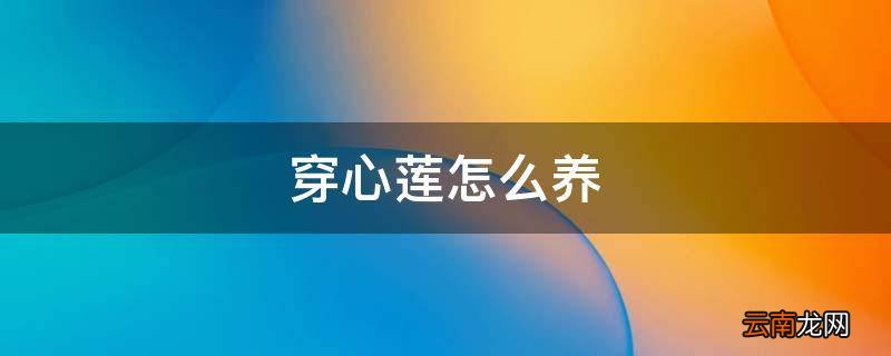穿心莲怎么养