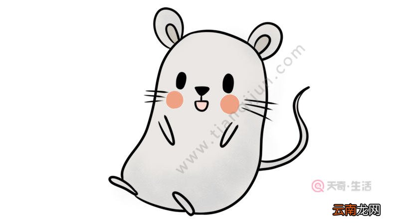 老鼠怎么画简笔画