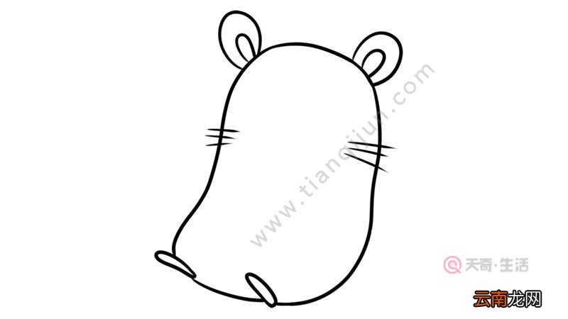 老鼠怎么画简笔画