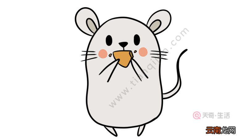 老鼠简笔画怎么画步骤