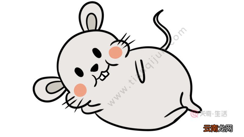老鼠简笔画的可爱画法