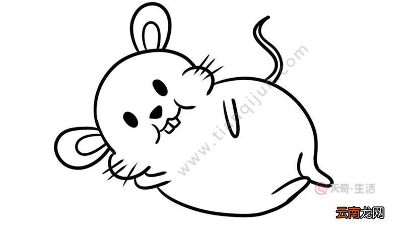 老鼠简笔画的可爱画法