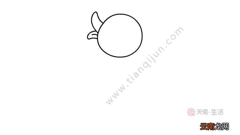学画画入门简笔画 学画画入门简笔画的画法