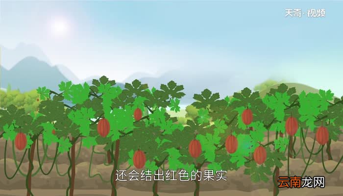 立夏三候是什么 立夏三候含义