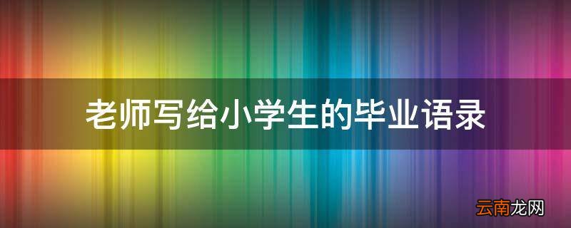 老师写给小学生的毕业语录