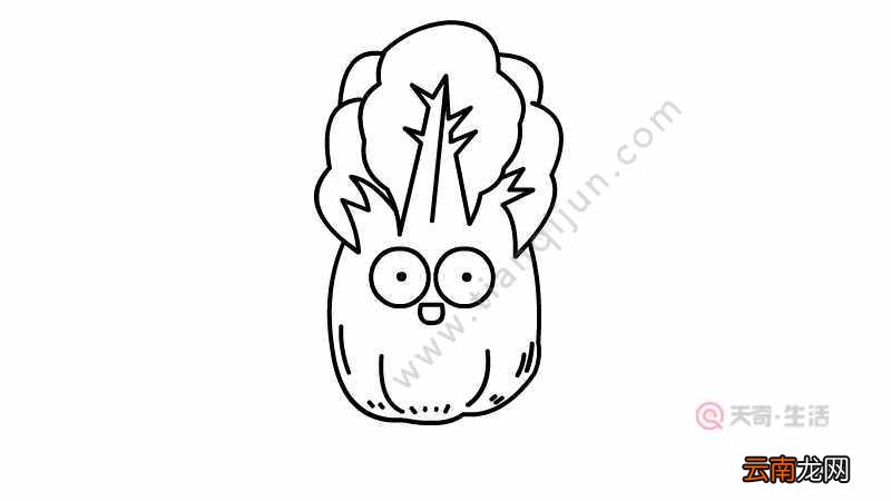 白菜简笔画画法 白菜简笔画