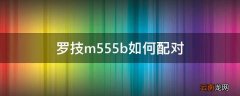 罗技m555b如何配对