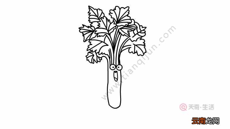 芹菜简笔画