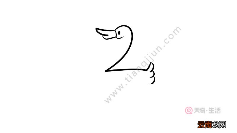 用数字画动物之天鹅简笔画画法