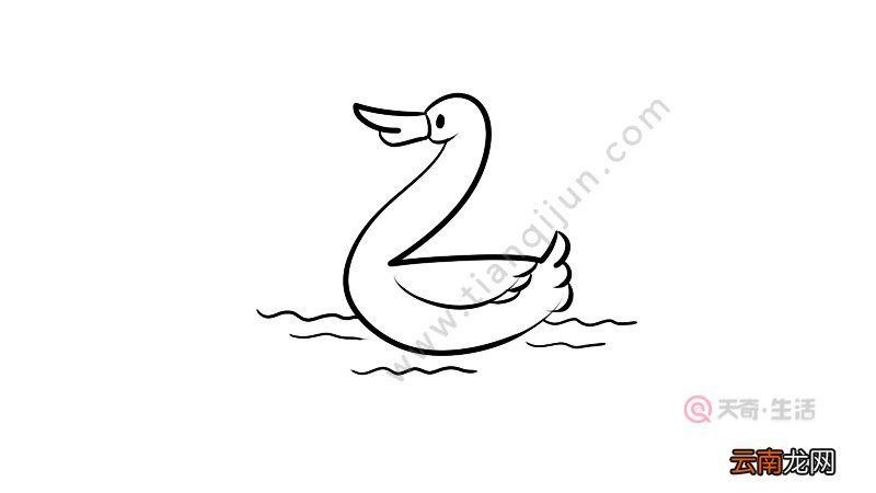 用数字画动物之天鹅简笔画画法