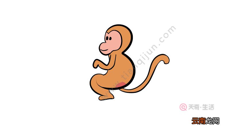 用数字画动物之猴子简笔画画法