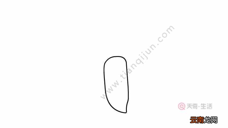 萝卜简笔画
