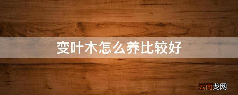 变叶木怎么养比较好
