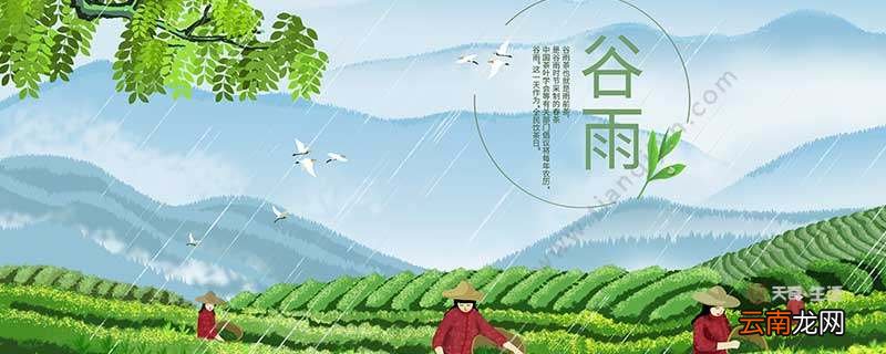 谷雨是什么季节 谷雨季节的特点