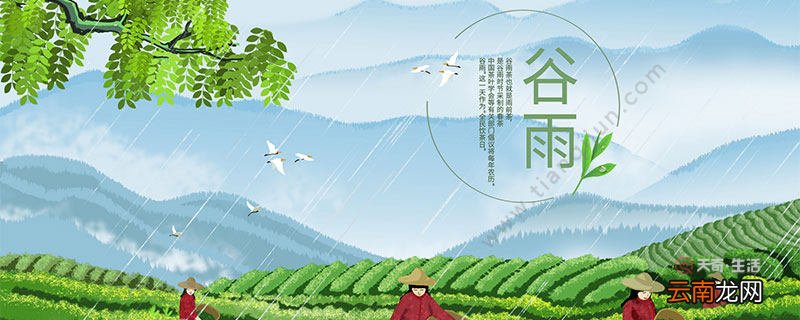 谷雨是哪天 谷雨节气有什么特点