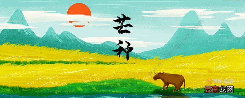 芒种是几月几日 2020年芒种是什么时候