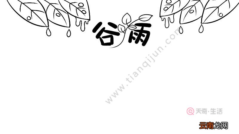 谷雨手抄报