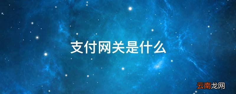 支付网关是什么