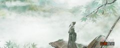 赠范晔诗的翻译 赠范晔诗的译文