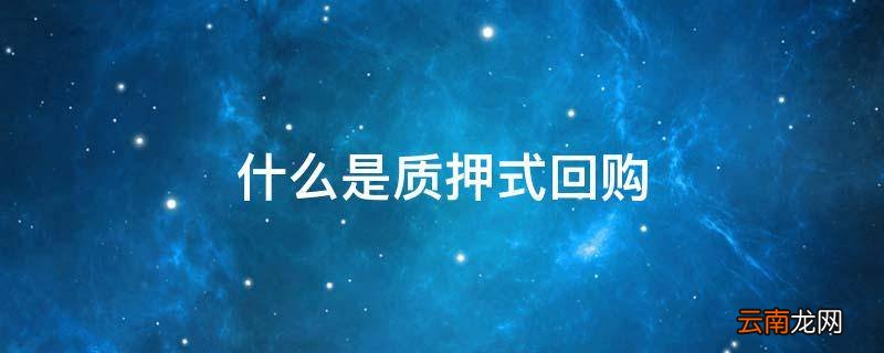 什么是质押式回购