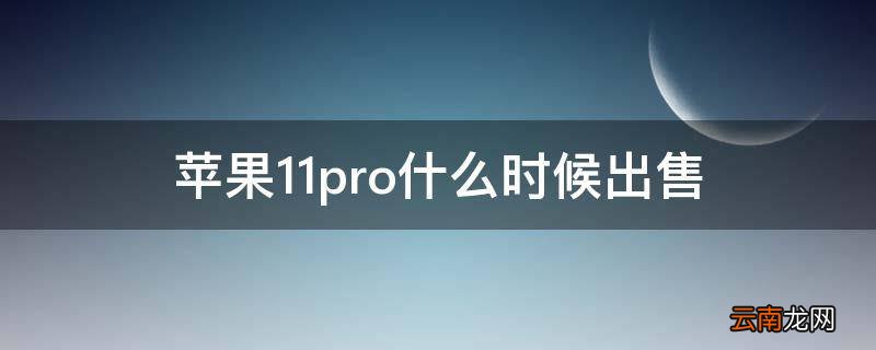 苹果11pro什么时候出售