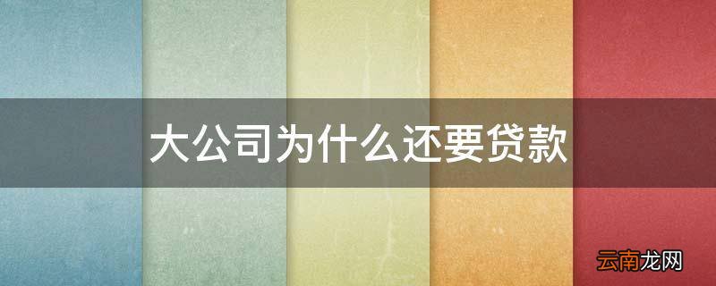 大公司为什么还要贷款