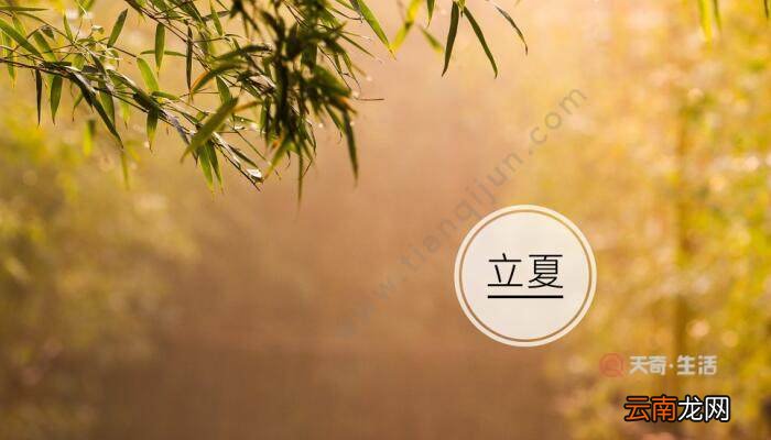 立夏是公历什么时候 立夏是公历是几月几号