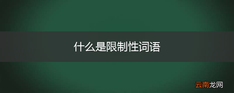 什么是限制性词语