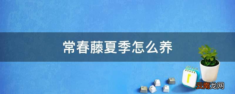 常春藤夏季怎么养