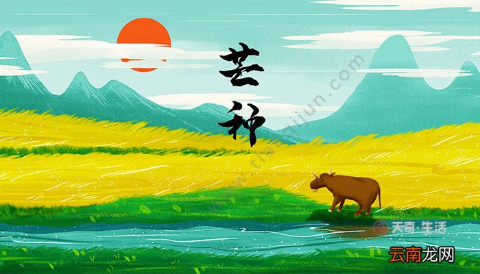 芒种是什么季节 芒种时节我国各地区天气