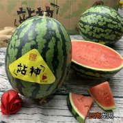 甘美西瓜为什么贵
