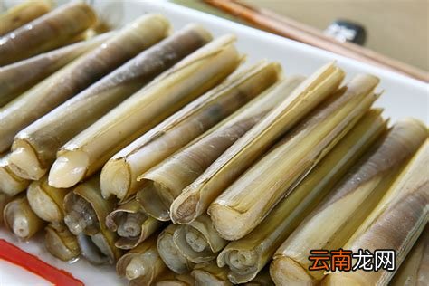 蛏子的鼻子为啥要扔掉