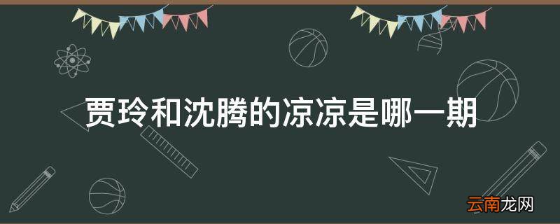 贾玲和沈腾的凉凉是哪一期