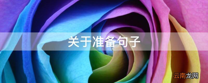 关于准备句子