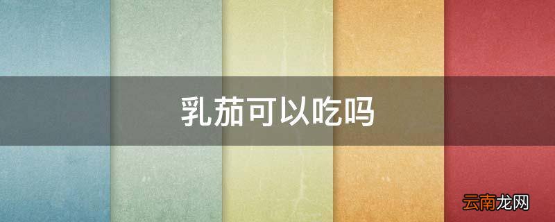 乳茄可以吃吗