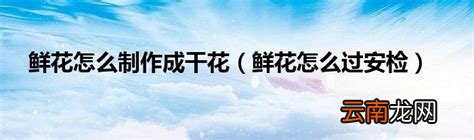鲜花怎么过安检