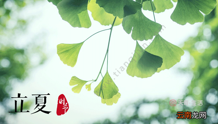 立夏是什么日子 立夏是什么节日