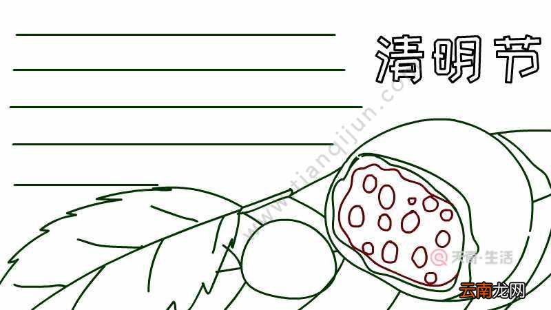 清明节青团手抄报怎么画
