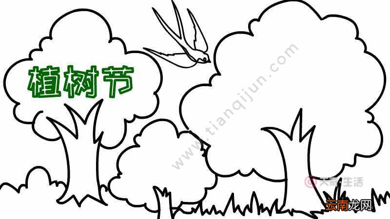 植树节手抄报怎么画好看又简单