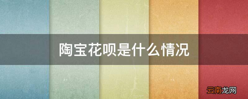 陶宝花呗是什么情况