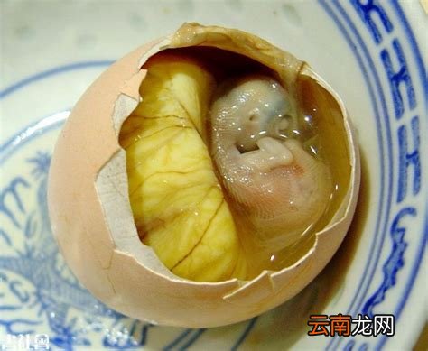活珠子是啥东西