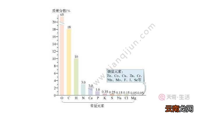 人体含量最多的金属元素 人体所含的最多的金属元素是什么
